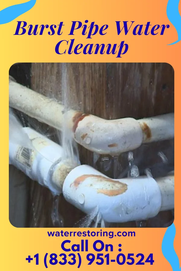 Burst Pipe Water Cleanup in Newcastle, WA
